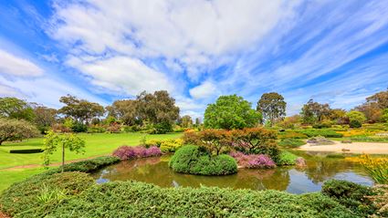 Japanese Garden - Cowra 